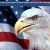 Profile Picture of Phillip Hidalgo (@philliphidalgo1) on Pinterest