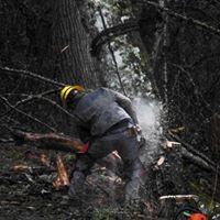 Profile Picture of Alex Mesick (@Mad_boethius) on Pinterest