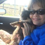 Profile Picture of Cindy Forsyth Hamblin (@hamblincindy) on Instagram