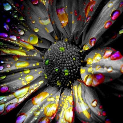 Profile Picture of Nigel Wade (@NigelWadeNZ) on Twitter