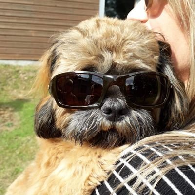 Profile Picture of Jason Hull (@marshal8544) on Twitter