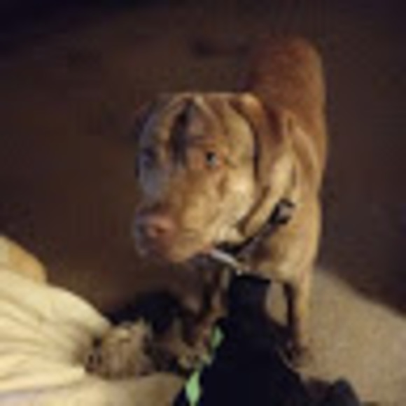 Profile Picture of Dylan Mcnabb (@dylanmcnabb28) on Poshmark