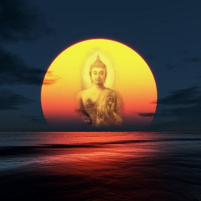 Profile Picture of Alex Holloman (@zengoho) on Twitter