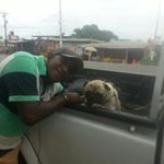 Profile Picture of Luis Anibal Velez (@luisanibalvelez) on Instagram