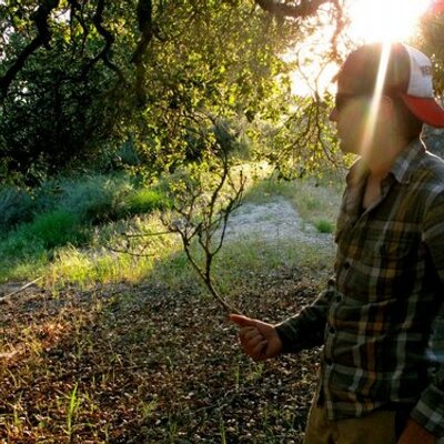 Profile Picture of Jared Kowalczyk (@JareBearTweets) on Twitter