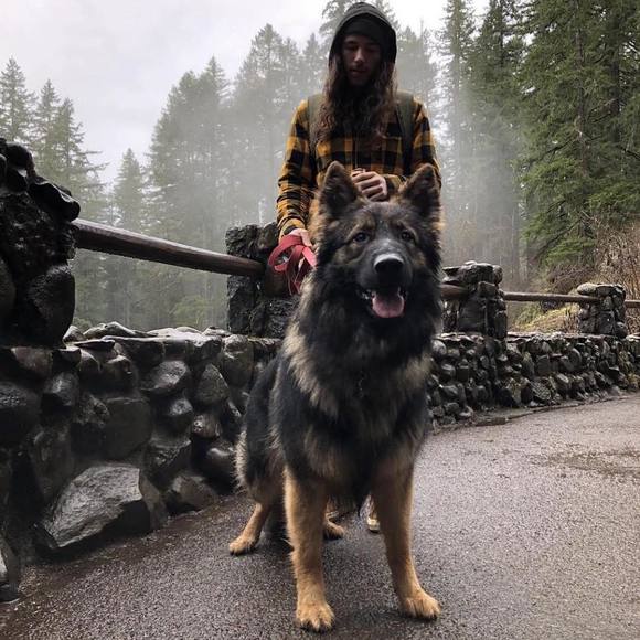 Profile Picture of Mike Grinwald (@clarkgrinwald) on Poshmark