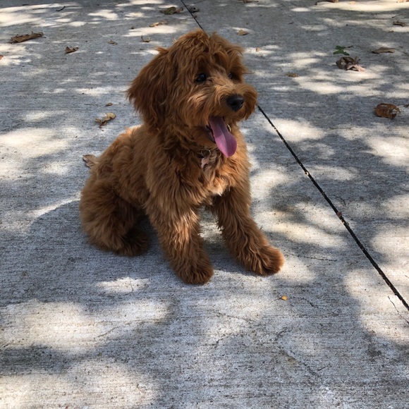 Profile Picture of James Nunn (@duchntr) on Poshmark