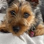 Profile Picture of Nancy Wright (@Nancy-Wright) on Facebook