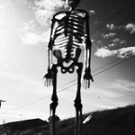 Profile Picture of Austin Carroll (@_Booji) on Flickr