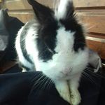 Profile Picture of Kimberly.Dittberner (@kimberlydittberner) on Instagram