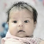 Profile Picture of leo Brandt (@pajaritobrandt) on Instagram