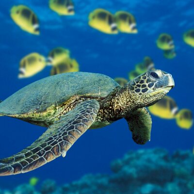 Profile Picture of Jon Gao (@Jon_Gao770) on Twitter