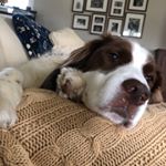 Profile Picture of Evan Walter (@edwalter2010) on Instagram