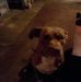 Profile Picture of Ray Etheridge (@ray.etheridge.374) on Facebook