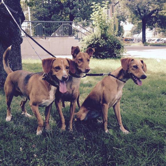 Profile Picture of Jose Alves (@jose_alves) on Poshmark