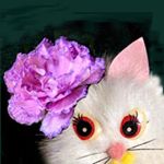 Profile Picture of Юлия Хулап (@mir_fialok) on Instagram
