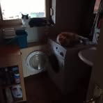 Robert Hildebrand - Facebook Profile Picture of Robert Hildebrand (@robert.hildebrand.3914) on Facebook