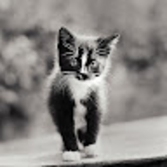 Profile Picture of Sabrina Hanek (@sabrinahanek) on Poshmark