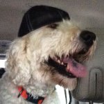 Profile Picture of Zack Byers (@zbyers54) on Instagram