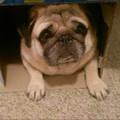 Brett Scanlon - Youtube Profile Picture of Brett Scanlon (@pancakes1983) on Youtube