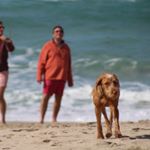 Profile Picture of Chris Childs (@chris.childs) on Instagram