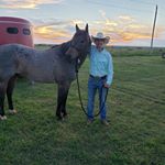 Profile Picture of Dane Lancaster (@dane_lancaster7) on Instagram