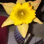 Profile Picture of Damian Weber (@damian.weber.728732) on Facebook