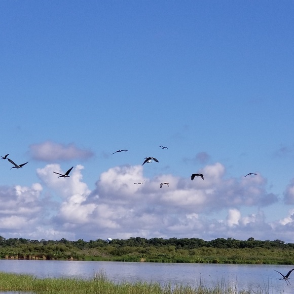 Profile Picture of Rhonda Hysmith (@rhysmith88) on Poshmark