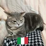 Profile Picture of Mario Basile (@mario.basile.5076) on Instagram