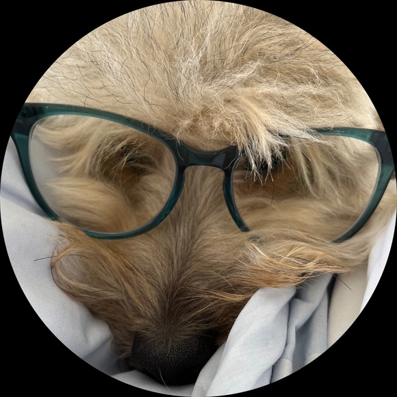 Profile Picture of Mihee Kim (@mihee) on Poshmark