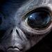 Profile Picture of Steven Wallis (@stevenw2730) on Pinterest