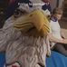 Profile Picture of Jacob Bearden (@jacob.bearden.313) on Facebook