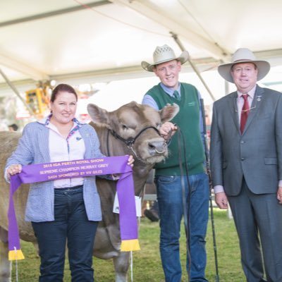 Profile Picture of Harris Thompson (@harri_thompson) on Twitter