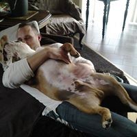 Profile Picture of Sven Decommer (@sven-decommer) on Quora