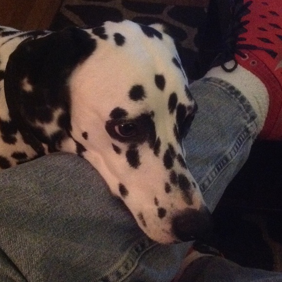 Profile Picture of Eugene Miller (@eugenemiller852) on Poshmark