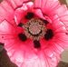 Profile Picture of Delphine Goodwin (@Delphine-Goodwin) on Facebook