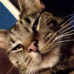 Ethan Perkins - Instagram Profile Picture of Ethan Perkins (@ig_ethan.p) on Instagram