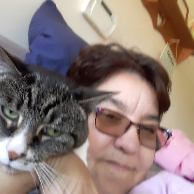 Profile Picture of Diane Byrne (@DianeBy37572358) on Twitter