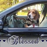 Profile Picture of Russ Vincent (@RussVincent17) on Twitter