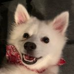 Profile Picture of Peter J. O’Brien (@landonvoncube) on Instagram