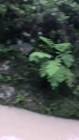 Profile Picture of   TikTok de Leo monroy... (@leonel.monroy) on Tiktok