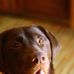 Profile Picture of Joseph Blanke (@joseph.blanke) on Facebook