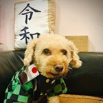 Profile Picture of ErIc Lai (@jellyplanet) on Instagram