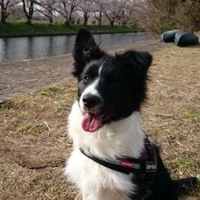 Profile Picture of Julian (@CandyPremium) on Twitter