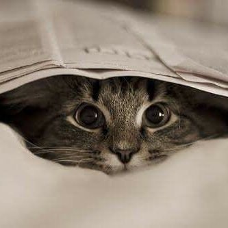 Long Nguyen (takumi) - Twitter Profile Picture of Long Nguyen (takumi) (@takumi_vn) on Twitter