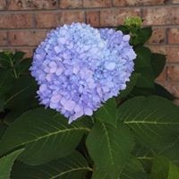 Profile Picture of Trina Williams (@trina-williams-23) on Quora