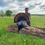 Profile Picture of Elam Stoltzfus (@elamstoltzfus73) on Instagram