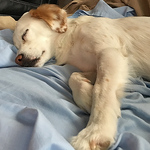 Profile Picture of David Jimenez (@david210686) on Flickr