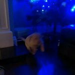 Profile Picture of John Danny (@john.deely1) on Instagram