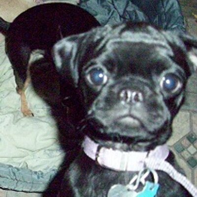 Profile Picture of Erica Mattisonon Twitter